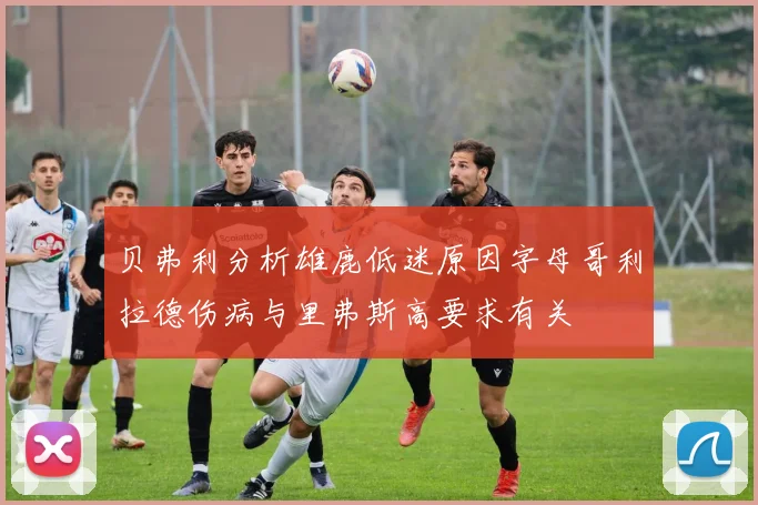 贝弗利分析雄鹿低迷原因字母哥利拉德伤病与里弗斯高要求有关